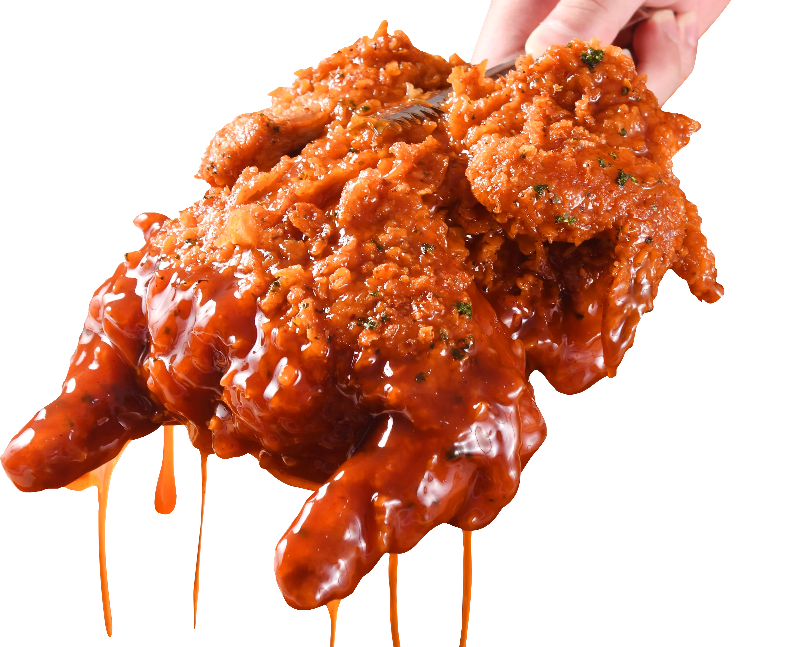 1 ekor ayam + saus